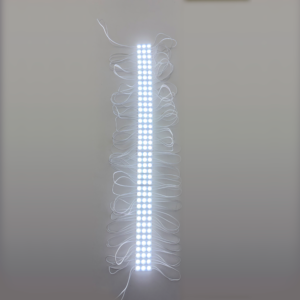 Módulo 3LED mini con lupa blanco frío (220-110v)