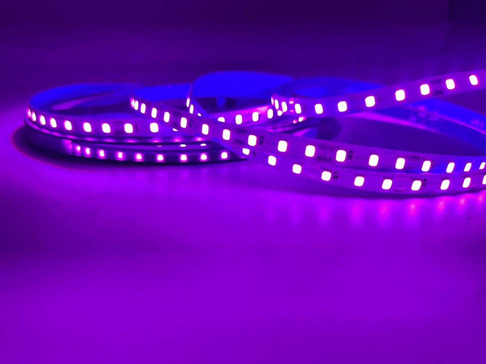 Tira led de neón 2da generación morado (10m) - Imagen 3